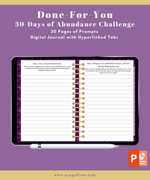 30 Day Plan for Abundance Digital Journal